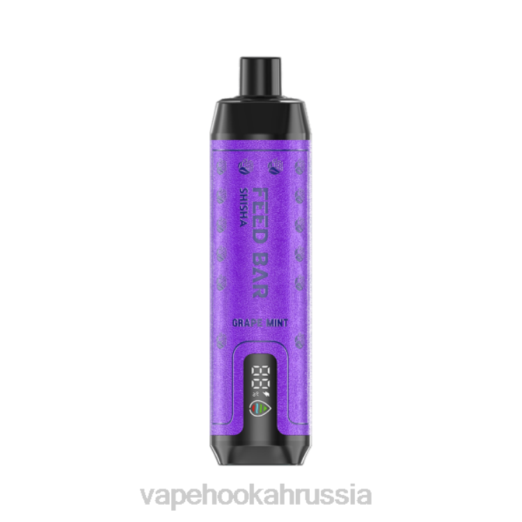 Russian Vape Juice - Vapsolo SHISHA одноразовый вейп виноградная мята X2Z0118