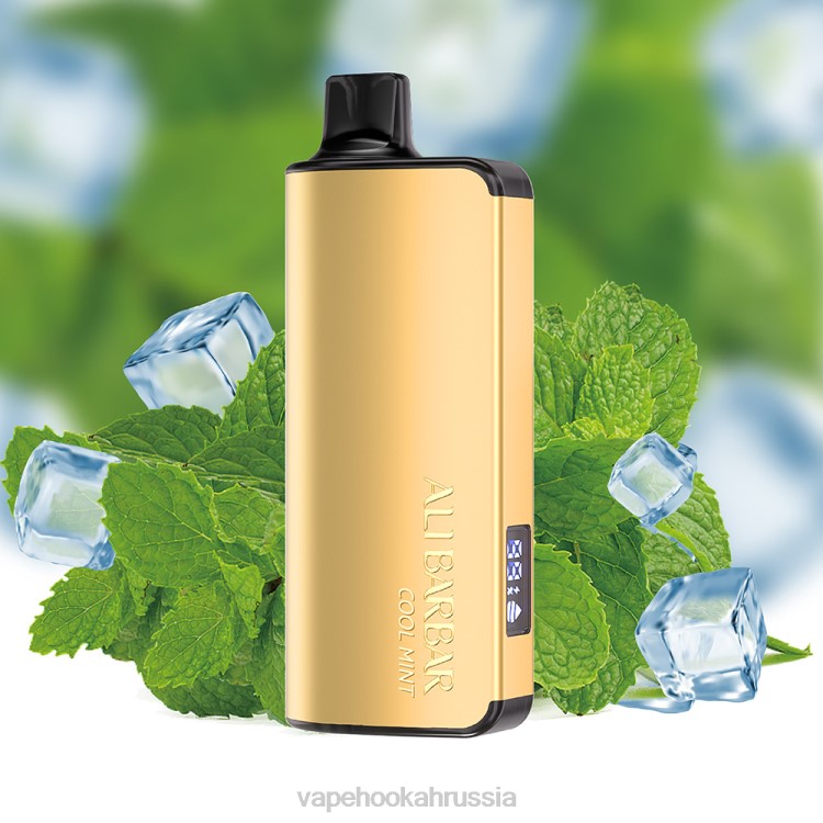 Russian Vape Juice - Alibarbar Ingot 9000 одноразовых вейпов прохладный мятный X2Z018