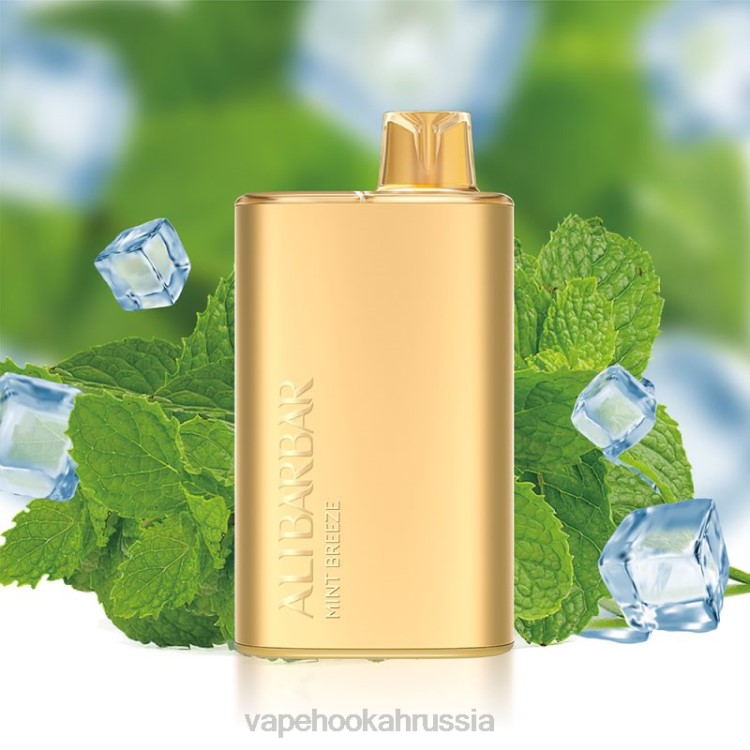 Russian Vape Juice - Alibarbar Rich 8000 одноразовых вейпов мятный бриз X2Z08