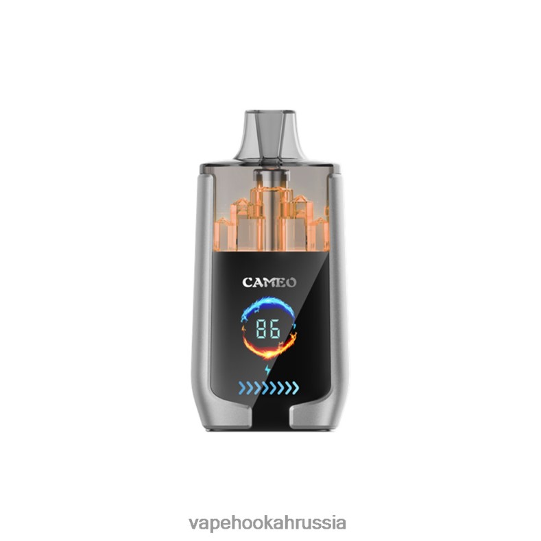 E-Liquid Жидкость - LAVIE CAMEO 30000 затяжек черничный лед 2R002815
