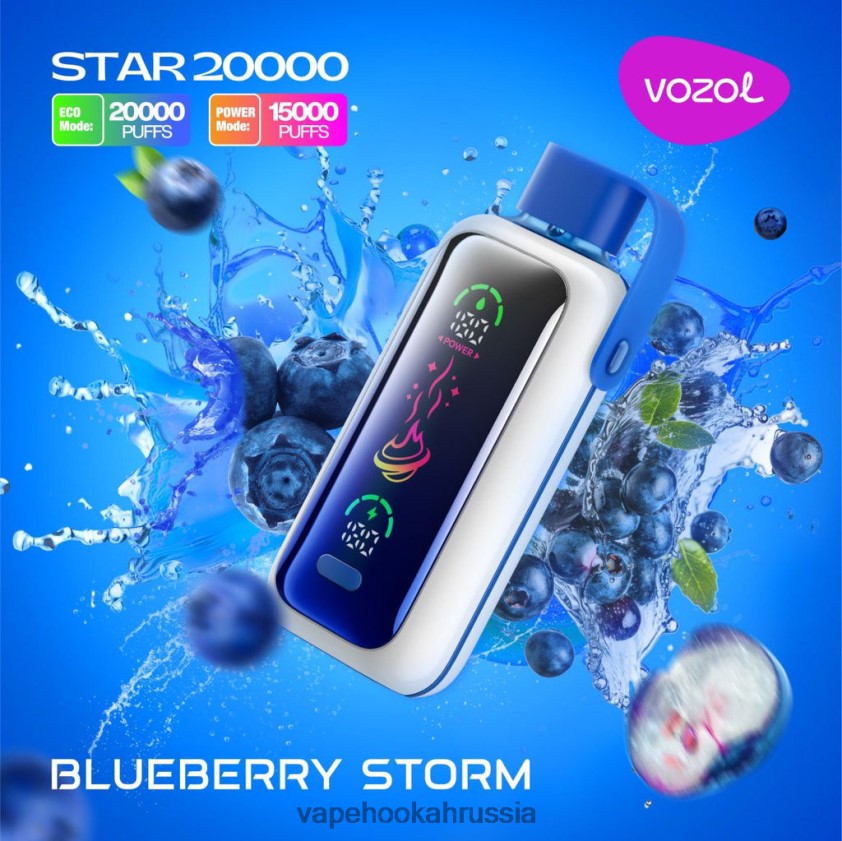 E-Liquid Жидкость - VOZOL STAR 20000 FHN6045 черничный шторм