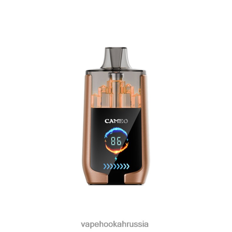 Russian Vape Juice - LAVIE CAMEO 30000 затяжек кофе со льдом 2R002818