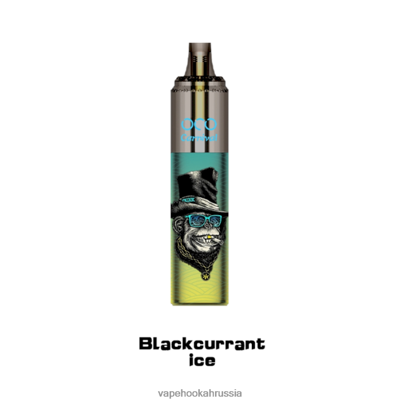 Russian Vape Juice - LAVIE OCO карнавал 10000 затяжек лед из черной смородины 2R0028348