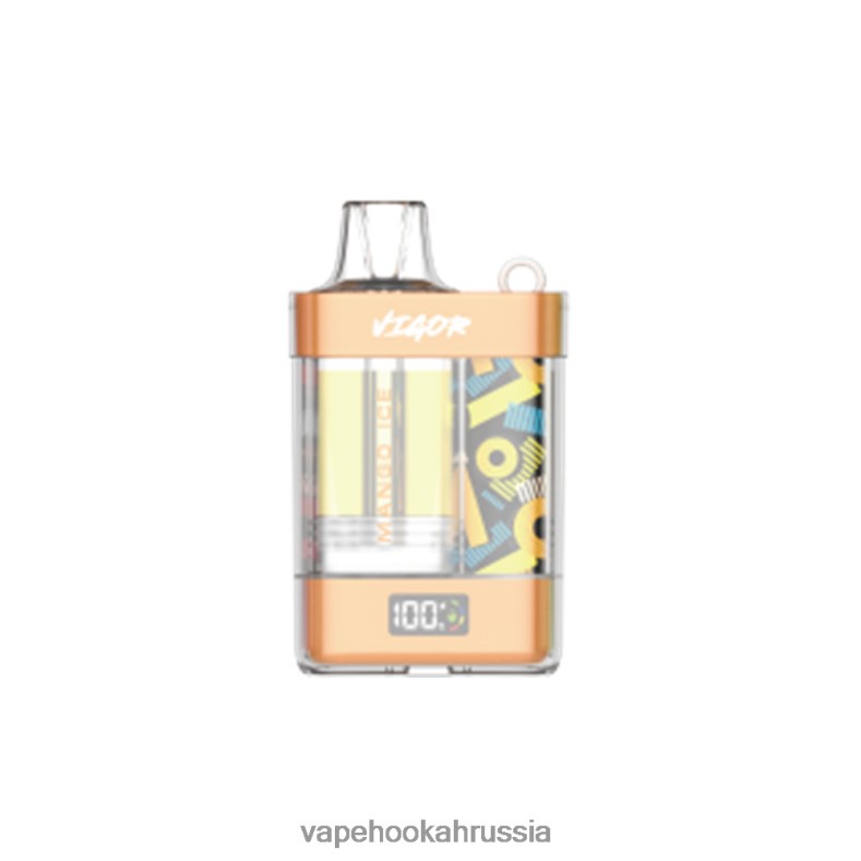 Russian Vape Juice - LAVIE VIGOR 15000 затяжек манго лед 2R00283