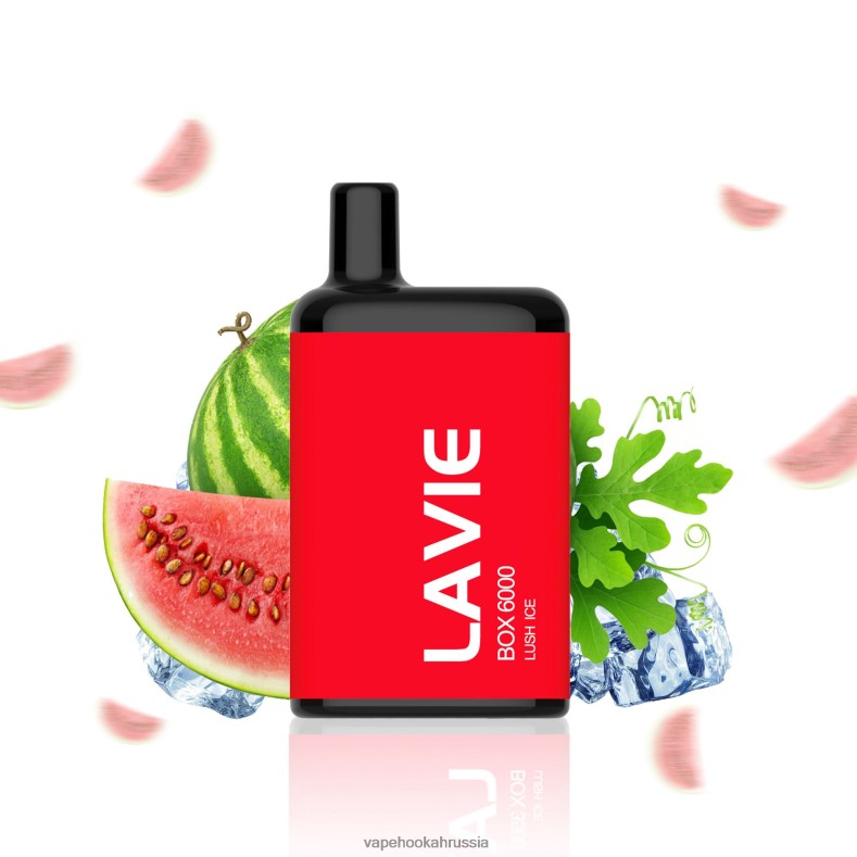 Vape Hookah - LAVIE BOX 6000 затяжек пышный лед 2R0028199