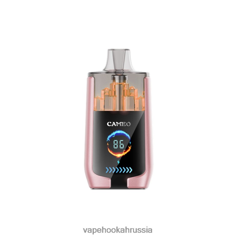 Vape Hookah - LAVIE CAMEO 30000 затяжек тропические фрукты 2R002819