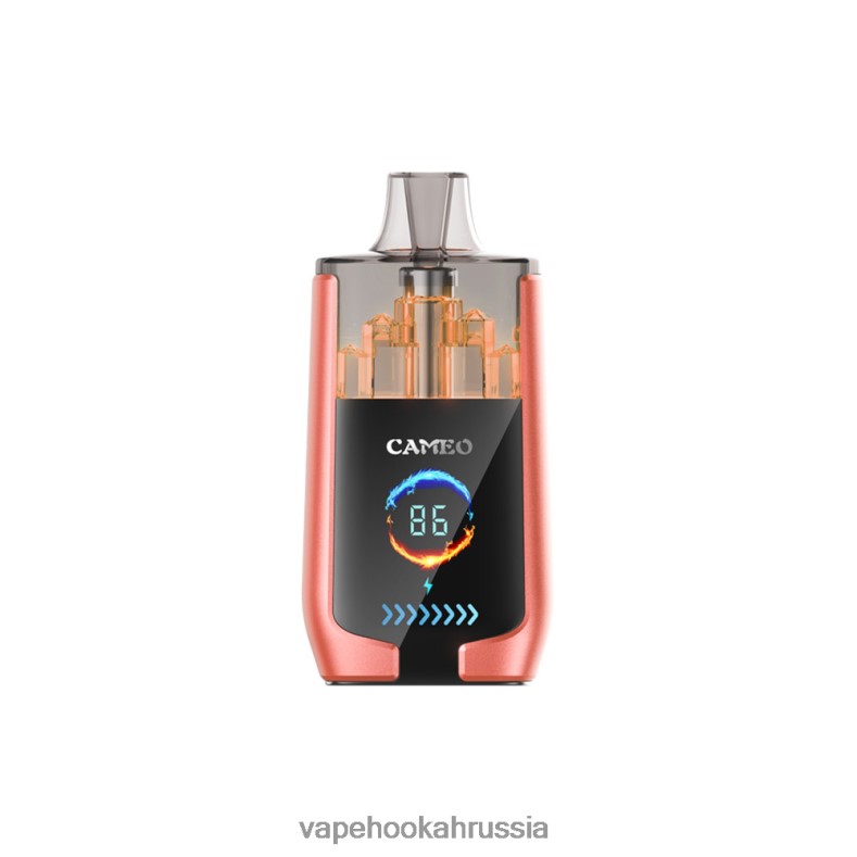 Vape Hookah - LAVIE CAMEO 30000 затяжек клубника арбуз 2R002824