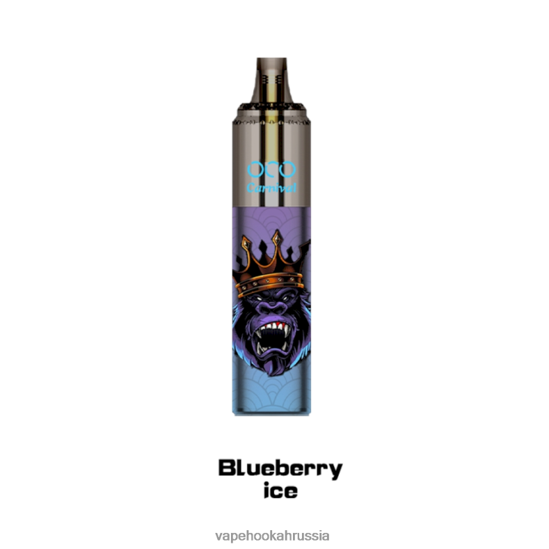 Vape Hookah - LAVIE OCO карнавал 10000 затяжек черничный лед 2R0028349