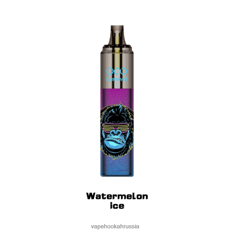 Vape Hookah - LAVIE OCO карнавал 10000 затяжек арбузный лед 2R0028359