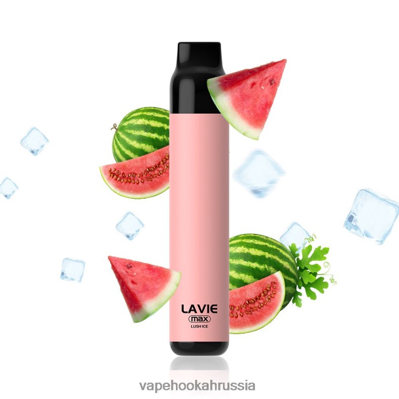 Vape Россия - LAVIE BAR 5000 затяжек - макс. пышный лед 2R0028277