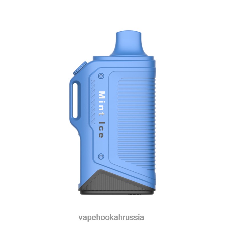 Vape Россия - LAVIE Energy Box 15000 затяжек мятный лед 2R002872