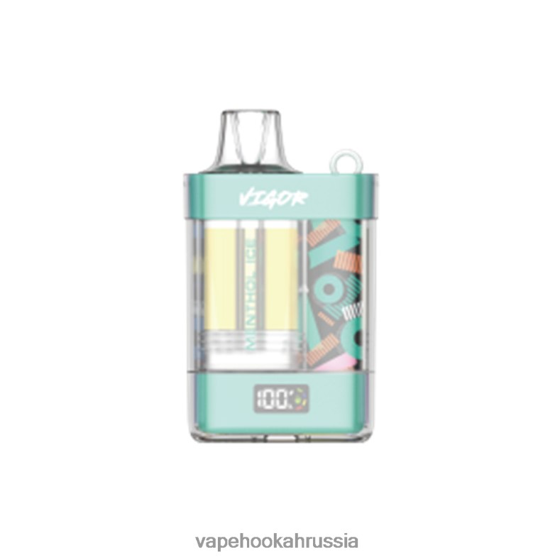 Vape Россия - LAVIE VIGOR 15000 затяжек ментоловый лед 2R00282