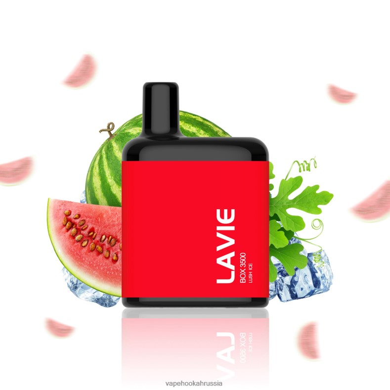 Vape Russia - LAVIE BOX 3500 затяжек пышный лед 2R0028211