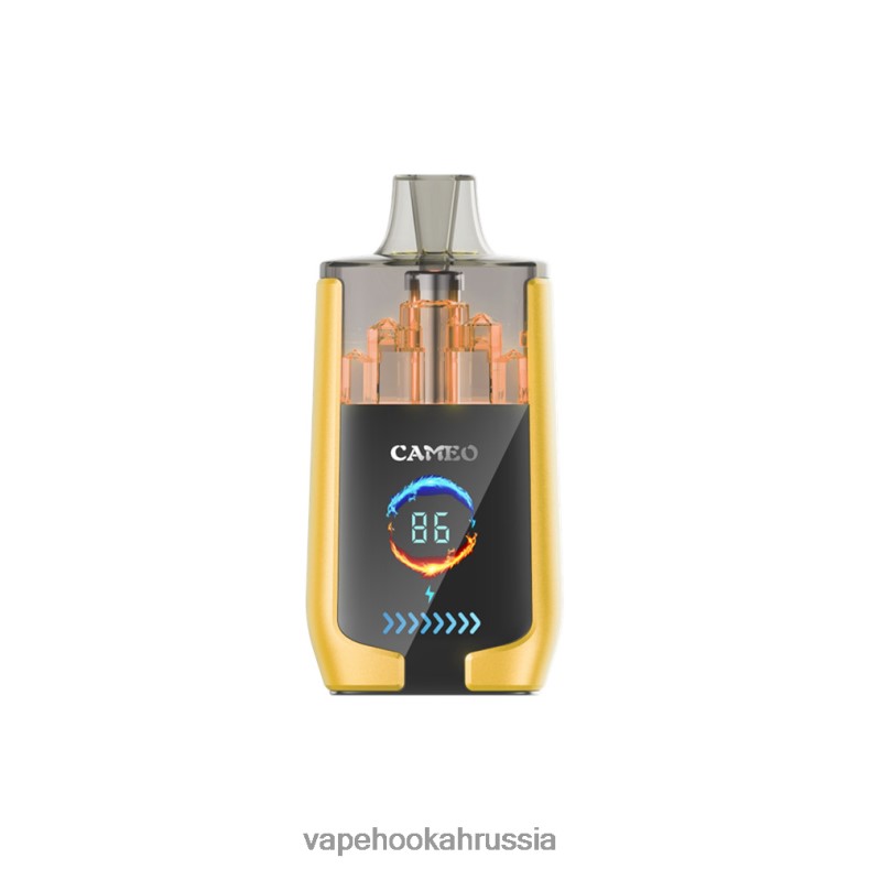 Vape Russia - LAVIE CAMEO 30000 затяжек манго лед 2R002821