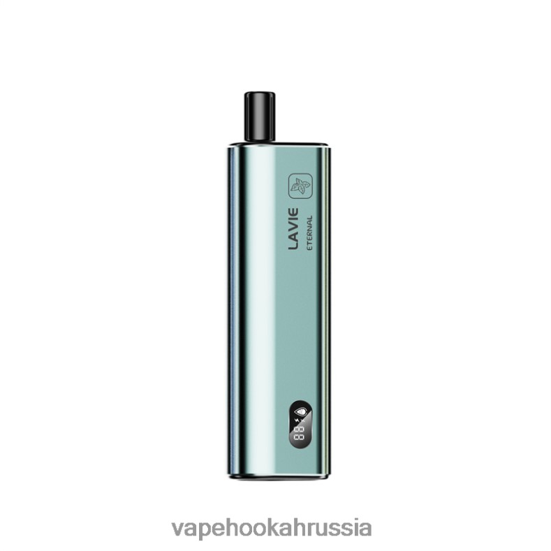 Vape Russia - LAVIE ETERNAL 10000 затяжек мятный лед 2R0028121